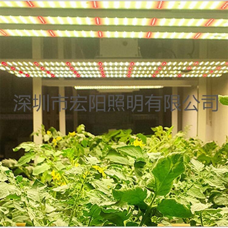 led植物生長(zhǎng)燈廠家 600W八爪魚植物燈 西紅柿植物補(bǔ)光燈
