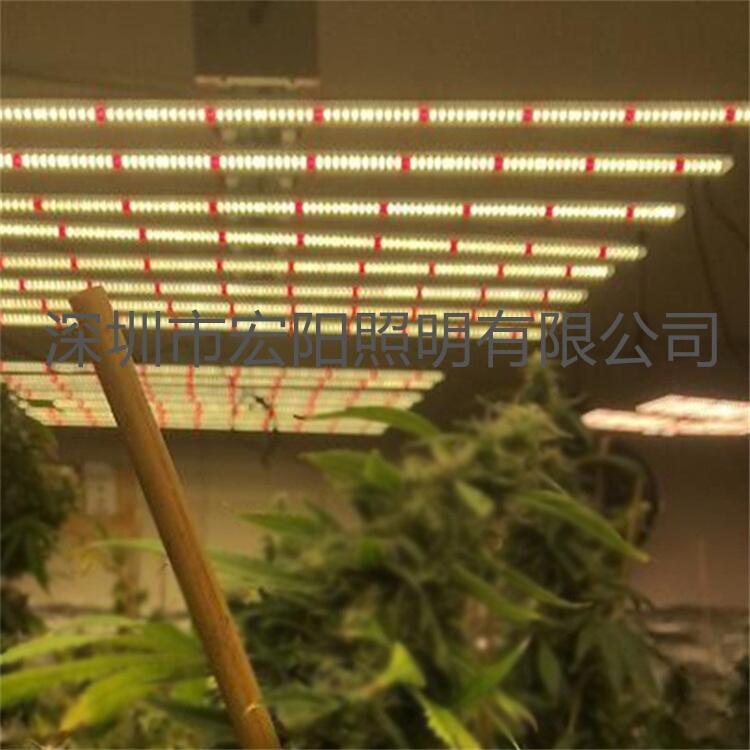 出口北美植物工廠麻藥燈 工業(yè)麻藥種植燈 600W八爪魚植物燈 