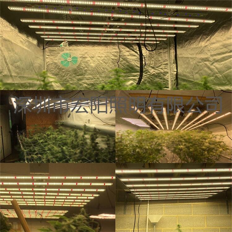 八爪魚(yú)植物燈工廠 600W麻藥補(bǔ)光燈 led植物生長(zhǎng)燈