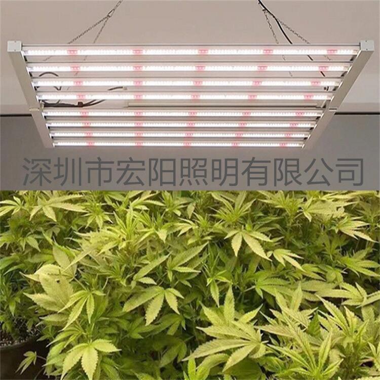 led植物燈工廠 800W麻藥補光燈 led八爪魚植物燈