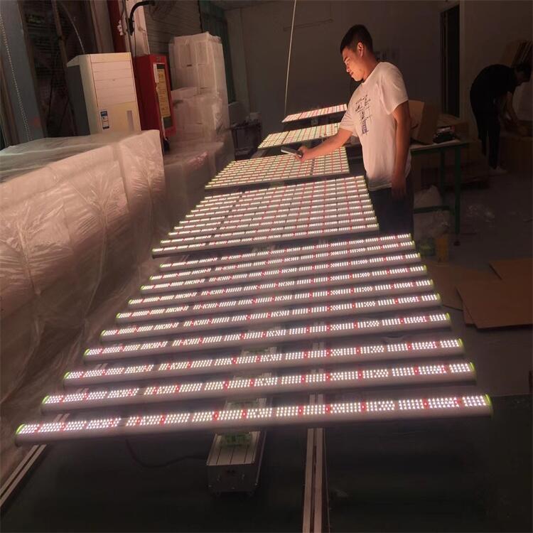 八爪魚植物燈廠家 加拿大藥材植物燈 荷蘭植物生長燈 波蘭植物燈