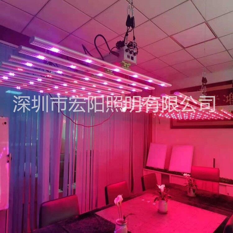 東莞植物照明公司 800W麻藥補光燈加拿大植物生長燈