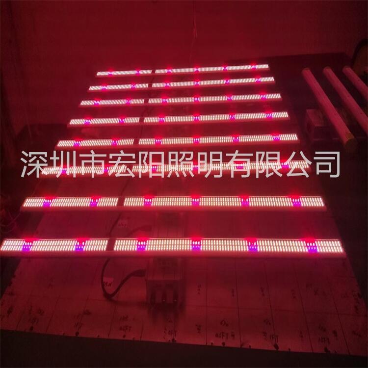 中山植物照明公司 800W麻藥補光燈美國麻藥植物燈