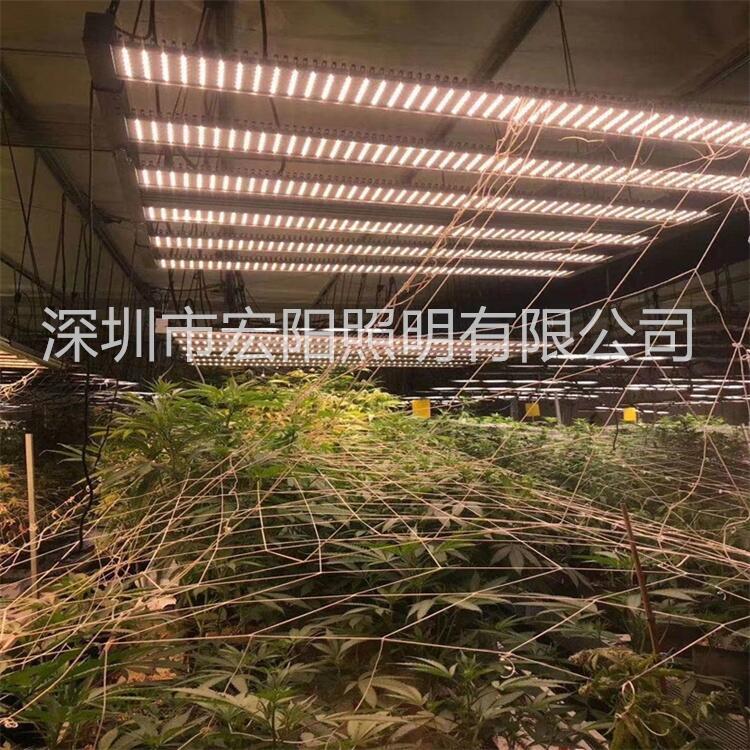 led植物燈廠家 800W麻藥補光燈 led八爪魚植物燈