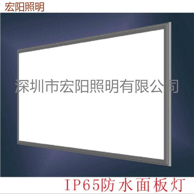 IP65防水面板燈直銷22W防水面板燈  295x595防水平板燈 IP65防水平板燈