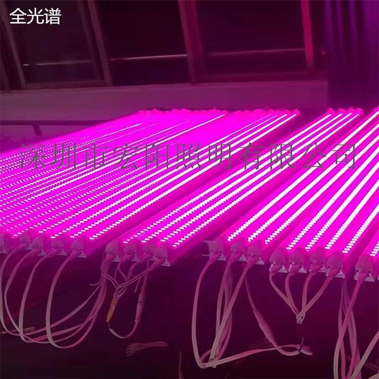 葫蘆島植物燈制造廠	葫蘆島植物燈制造廠家	葫蘆島LED植物燈