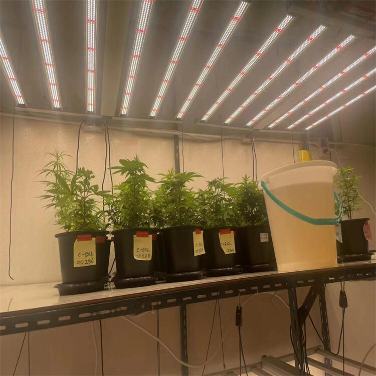 led植物燈生產(chǎn)廠家 LED植物補光燈 八爪魚植物生長燈