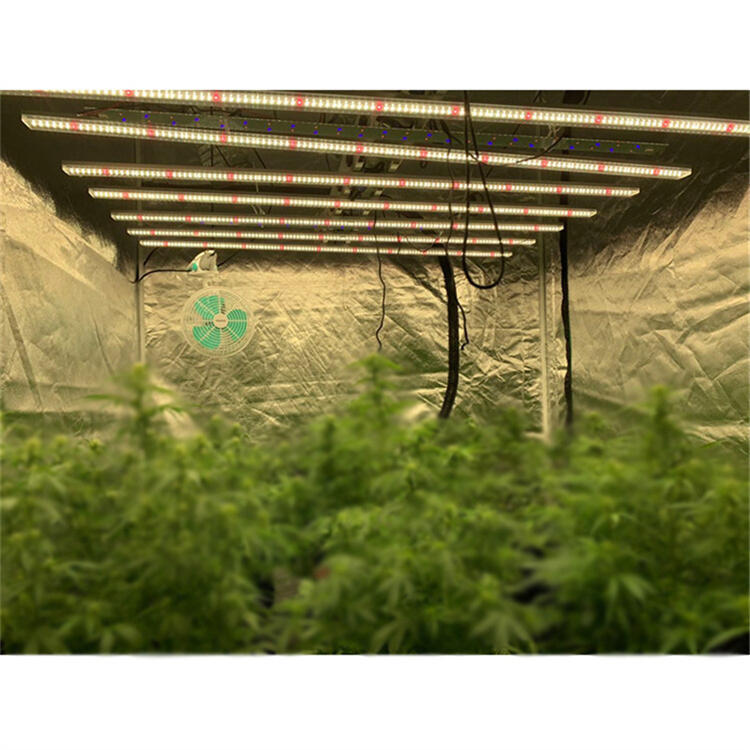 龍崗植物照明公司	龍崗LED植物照明燈	龍崗八爪魚植物燈