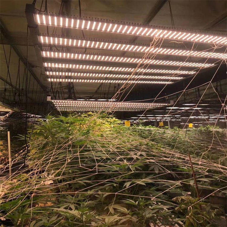 浙江植物照明公司	浙江LED植物照明燈	浙江八爪魚植物燈