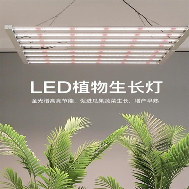陽江植物照明公司	陽江LED植物照明燈	陽江八爪魚植物燈