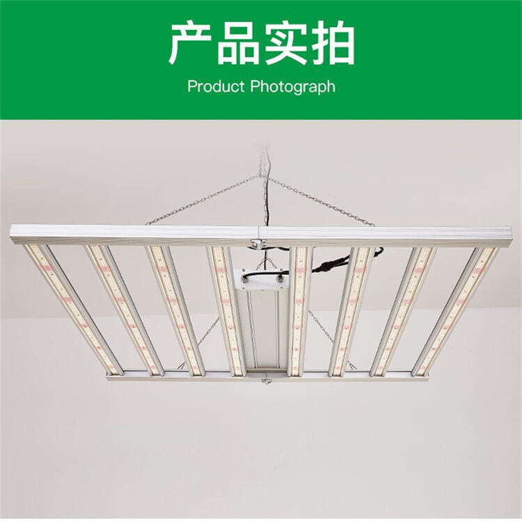 汕頭植物照明公司	汕頭LED植物照明燈	汕頭八爪魚植物燈
