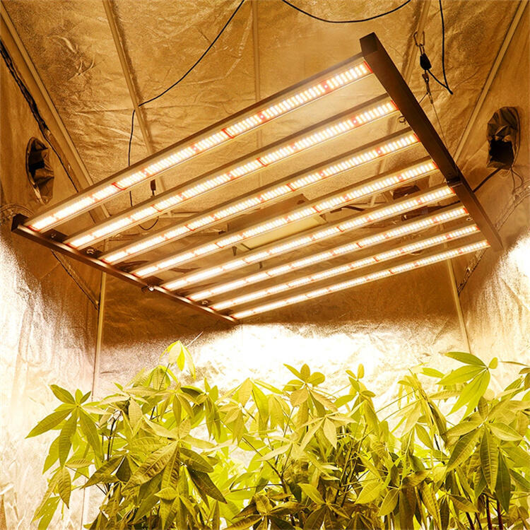 深圳植物照明公司	深圳LED植物照明燈	深圳八爪魚植物燈